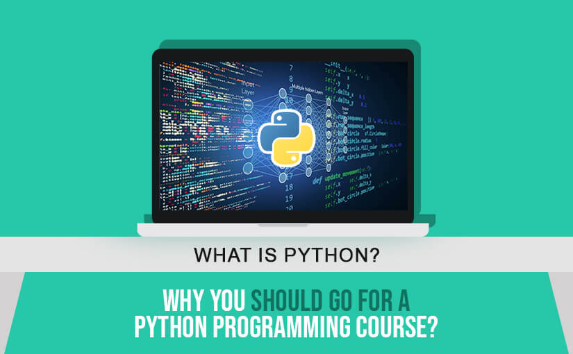 What is Python and Why You Should Go For A Python Programming Course? Singapore