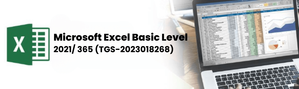 Basic Excel Course Singapore