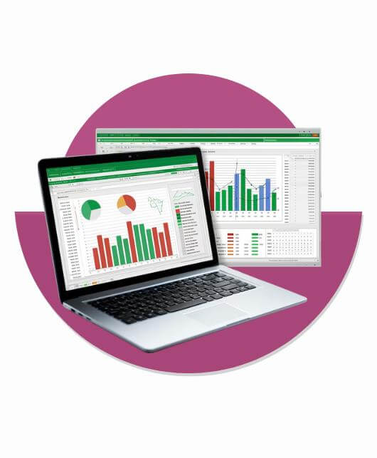 WSQ Data Automation Using Excel VBA Programming
