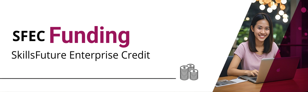 PSEA Funding Singapore
